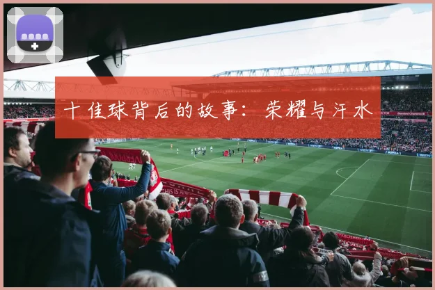 十佳球背后的故事:荣耀与汗水