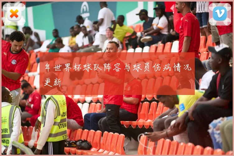 年世界杯球队阵容与球员伤病情况更新