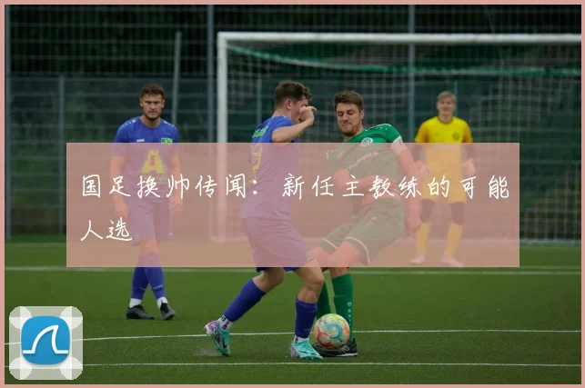 国足换帅传闻：新任主教练的可能人选