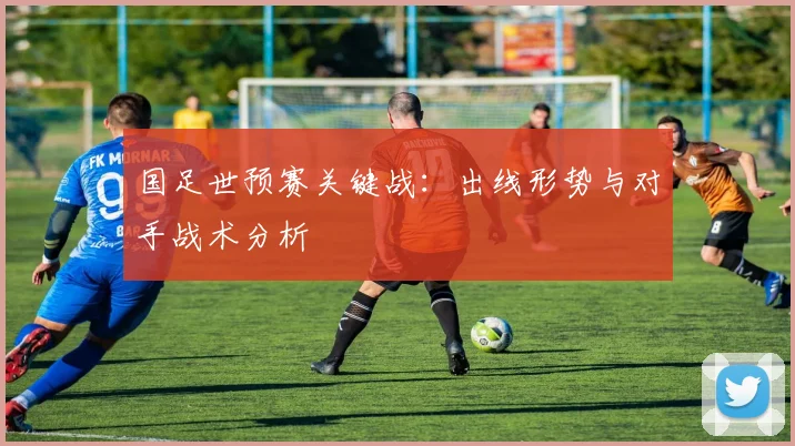 国足世预赛关键战:出线形势与对手战术分析